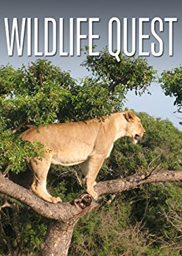 WILDLIFE QUEST - thumbnail