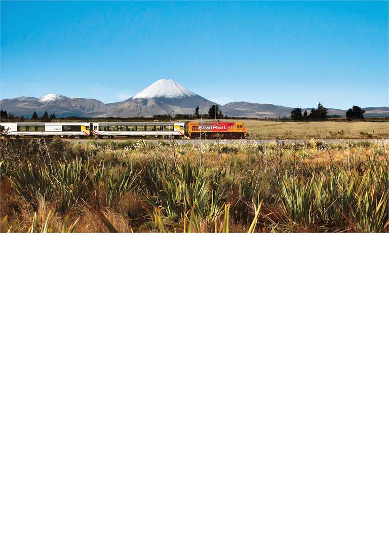 New Zealand from a Train