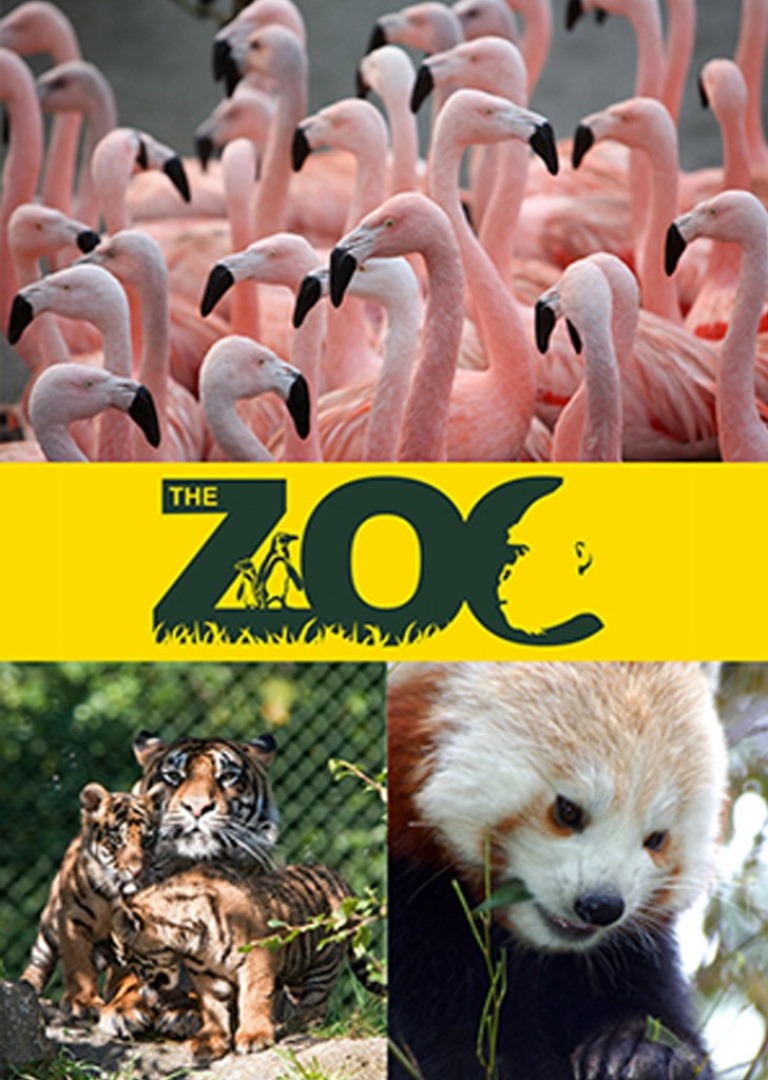 THE ZOO - thumbnail