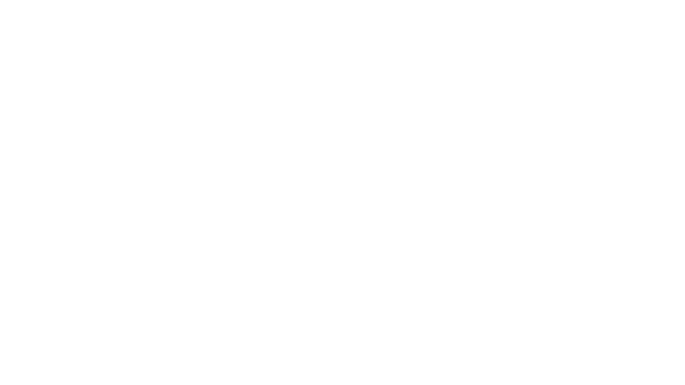 Stopping The Steal TT