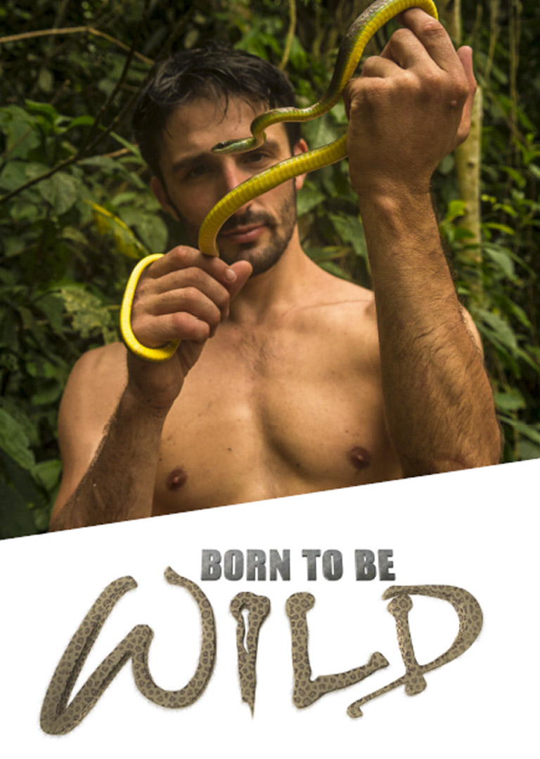 BORN TO BE WILD - thumbnail